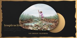 310_TEQUILA_Logo_Design_0001