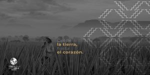 310_TEQUILA_Logo_Design_0004