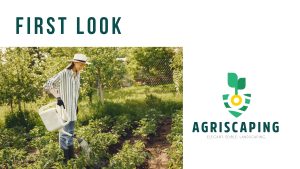 Logo Creation Agency concept for the Agriscaping visual identity